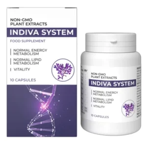 InDiva System. - 3.